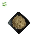 Nigella Sativa Extract Manufacturer - 5% to 10% Thymoquinone Powder