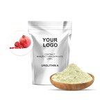 Urolithin A Powder Manufacturer - 99% Organic Intermediate Supplement