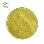 Berberine Hydrochloride Manufacturer - Pure Natural 80%-98% Organic Extract, GMP Factory