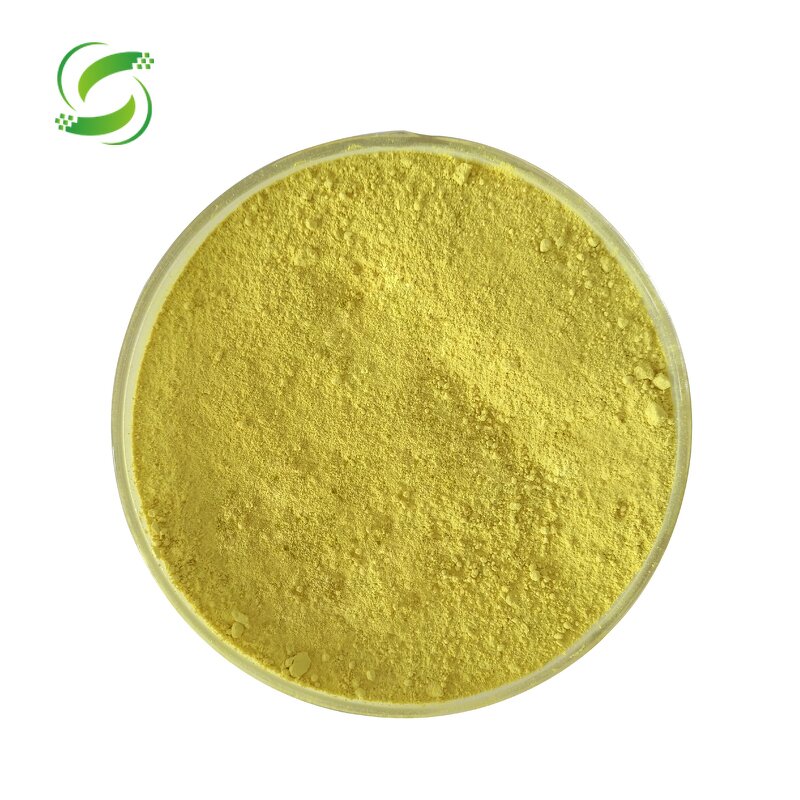 Berberine Hydrochloride Manufacturer - Pure Natural 80%-98% Organic Extract, GMP Factory
