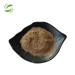 Chaga Mushroom Extract Powder Manufacturer - 30% or 60% Polysaccharides, GMP Certified