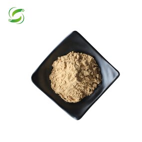 Green Coffee Bean Powder Manufacturer - Food Grade with 10% to 50% Chlorogenic Acid
