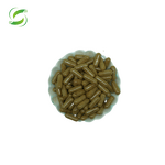 Ginkgo Biloba Extract Capsules Manufacturer - OEM ODM Private Label