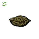 Turkesterone Capsules Manufacturer - Complex Formula with Fadogia Agrestis Epimedium Maca Tribulus and Tongkat Ali