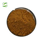 Chaga Mushroom Extract Powder Manufacturer - 30% or 60% Polysaccharides, GMP Certified