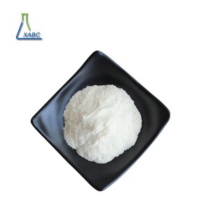 Food Grade Vegan Mushroom Chitosan Powder Manufacturer - Fungal Chitosan for Food