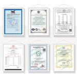 Black Soldier Fly Larvae Manufacturer - Freeze-Dried High Protein Pet Food Supplement for Birds