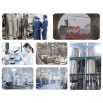 Ashwagandha Root Extract Supplements Manufacturer - KSM 66, Food Grade, Bottle Packaging