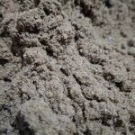 Cricket Protein Powder Manufacturer - Food Grade Freeze-Dried High-Protein Raw for Pets