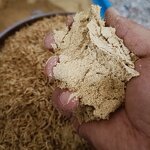 Freeze Dried Superworm Powder Manufacturer - High Protein Food Grade for Bird Pet Feed & Muscle Gain
