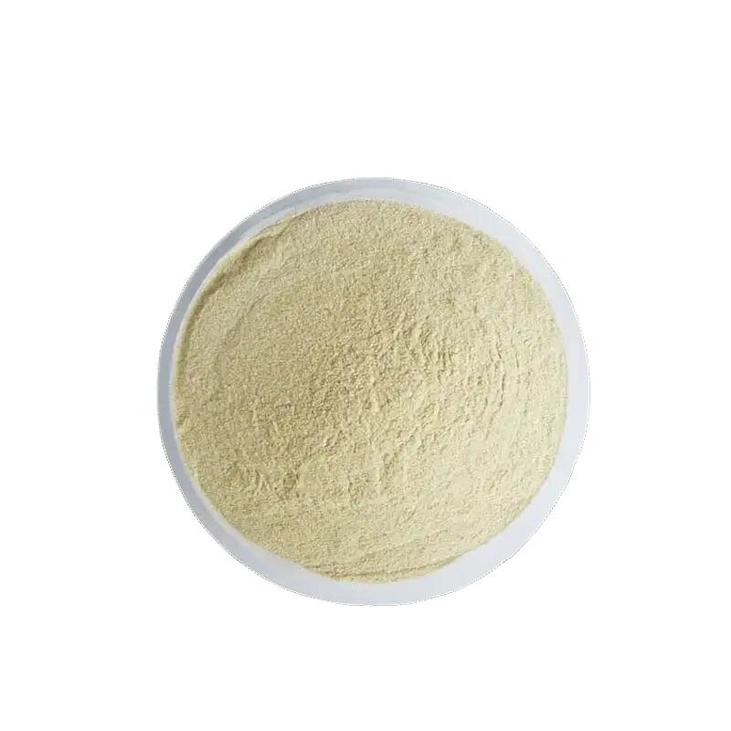 Allantoin Powder Manufacturer - Cosmetic Grade