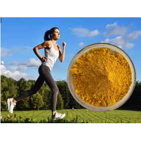 Vitamin B2 Powder Manufacturer - 98% Riboflavin CAS 83-88-5 Dietary Supplement