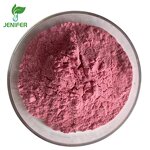 Acai Berry Powder Manufacturer - 100% Food Grade for Bulk Wholesale