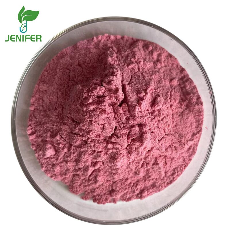Acai Berry Powder Manufacturer - 100% Food Grade for Bulk Wholesale