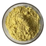 Durian Powder Manufacturer - Bulk Food Grade for Baking