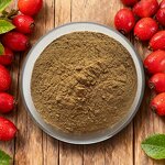 Rose Hips Extract Powder Manufacturer - Bulk Supply for Hot Sell