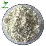 Onion Powder Manufacturer - Hot Selling Top Quality Dry Powder