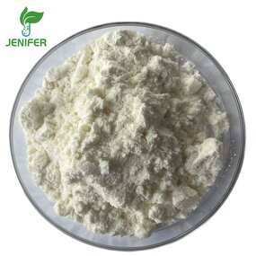 Onion Powder Manufacturer - Hot Selling Top Quality Dry Powder
