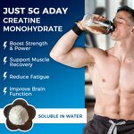 Creatine Monohydrate Manufacturer - 99% Pure Food Grade Powder Supplement