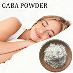 GABA Powder Manufacturer - 99% Pure Gamma Aminobutyric Acid Amino Acid