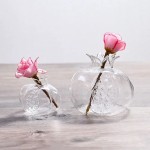 花瓶供应商 - 手工石榴透明玻璃水培盆