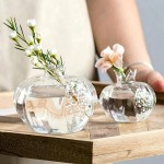 花瓶供应商 - 手工石榴透明玻璃水培盆