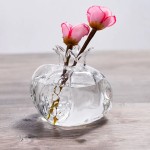 花瓶供应商 - 手工石榴透明玻璃水培盆