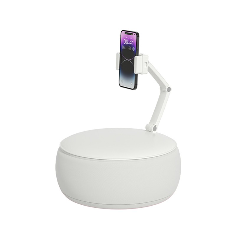 Pillow Phone Stand Supplier - 360 Adjustable Soft Bean Bag Holder