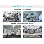 Natural Faux Mink Eyelashes Manufacturer - Reusable, Soft, Lightweight & Waterproof for Dramatic Volume