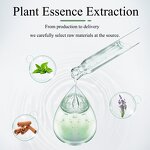 Hotel Essential Oil Diffuser Manufacturer - Perfume for Indoor Air Freshening