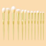Custom Makeup Brush Set Manufacturer - 12-Piece Vegetarian Gradient Colors