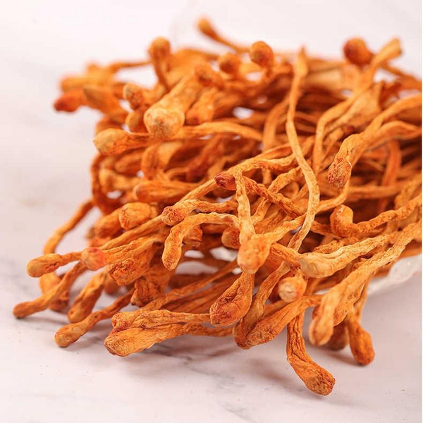 Cordyceps Militaris Flower Tea Manufacturer - Bulk Chinese Herbal Tea