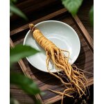 Dried Ginseng Root Manufacturer - Whole Chinese Herb Panax Tea for Men's Health