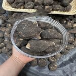 Maca Products Manufacturer - Single Herbal Black Maca for Health