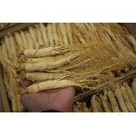 Organic Ginseng Root Manufacturer - Whole Dried Panax Herb for Men's Health Tea