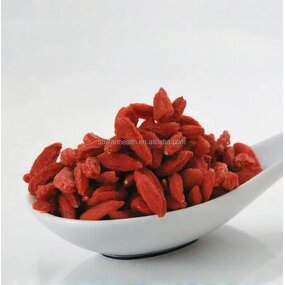 Dried Goji Berry Manufacturer - Natural Chinese Ningxia Origin Herbal Tea