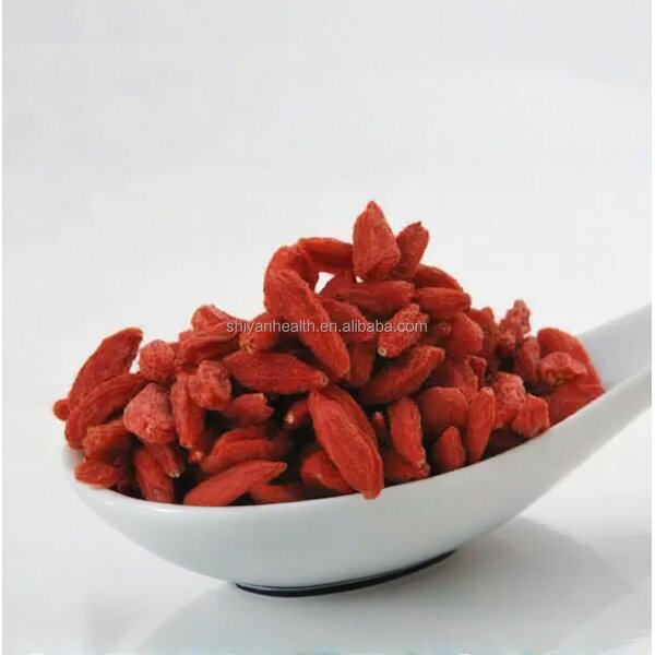 Dried Goji Berry Manufacturer - Natural Chinese Ningxia Origin Herbal Tea