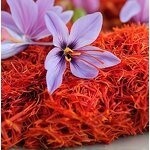 Saffron Manufacturer - Premium Organic Culinary Grade with Rich Antioxidants