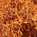 Cordyceps Militaris Flower Tea Manufacturer - Bulk Chinese Herbal Tea