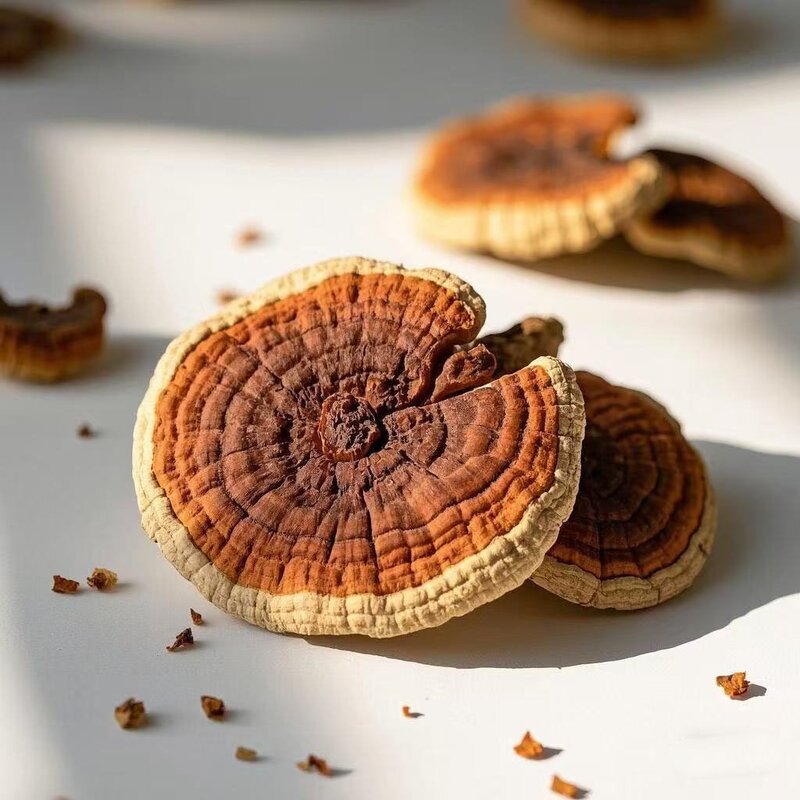 Ganoderma Lucidum Manufacturer - Dried Reishi Wild Herbs