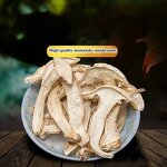 Frozen Matsutake Mushroom Manufacturer - Wild Tricholoma Matsutake Slices
