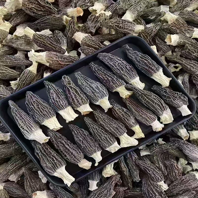 Natural Stem Dried Morel Mushroom Manufacturer - Factory Price for Cultivation