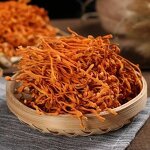 Cordyceps Militaris Manufacturer - Bulk Dried Flowers for Extract, Powder & Cooking