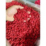 Ningxia Goji Berry Manufacturer - Dried Fruit Wholesale