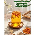 Cordyceps Militaris Manufacturer - Bulk Dried Flowers for Extract, Powder & Cooking