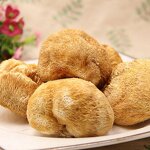 Dried Hericium Erinaceus Manufacturer - Lion's Mane Mushrooms