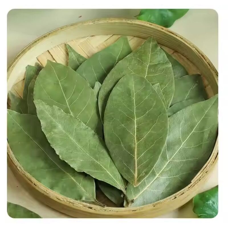 Dried Bay Leaves Manufacturer - Green Color for Export Wholesale