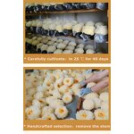 Dried Snow Fungus Mushroom Manufacturer - Natural Yellow Tremella Fuciformis for Soup