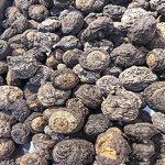 Black Maca Tablet Manufacturer - Single Herbal Extract for Health