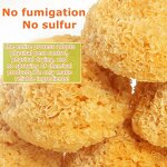 Tremella Fuciformis Manufacturer - Dried Snow Fungus White Mushroom Silver Ear